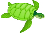 Grüne Schildkröte